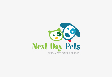 Next Day Pets